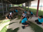 Chamorro Hut building - Photo 3