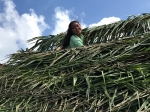 Chamorro Hut building - Photo 4